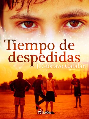 cover image of Tiempo de despedidas